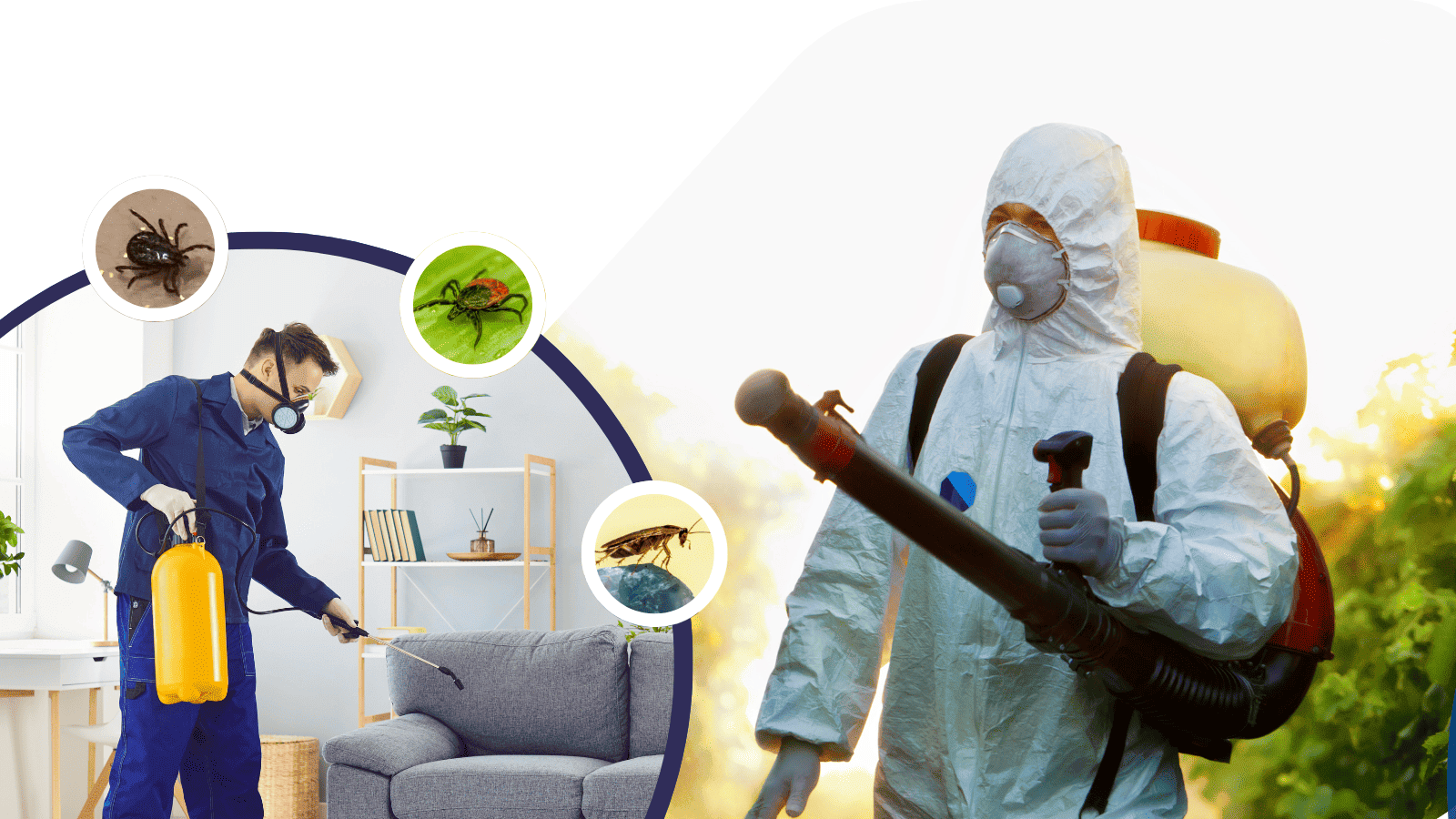 Fumigation Service