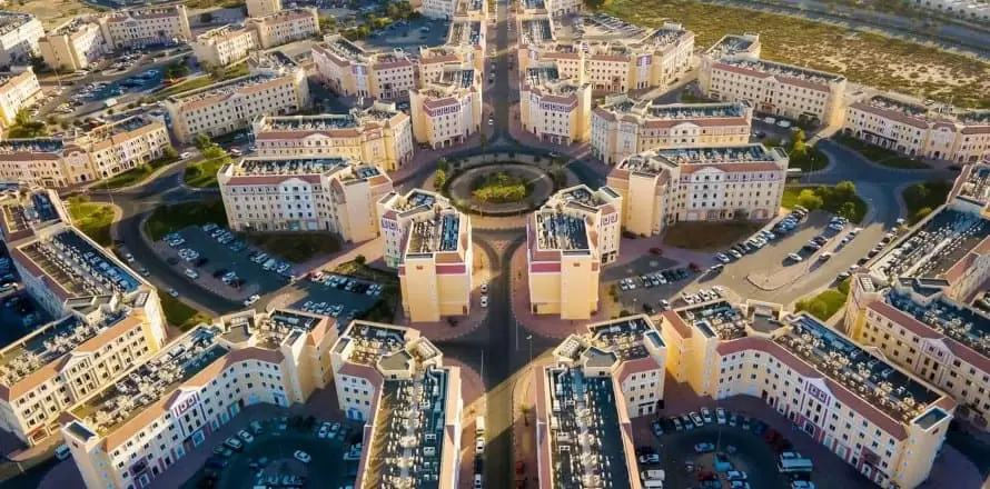 Pest Control International City Dubai | Guaranteed Service