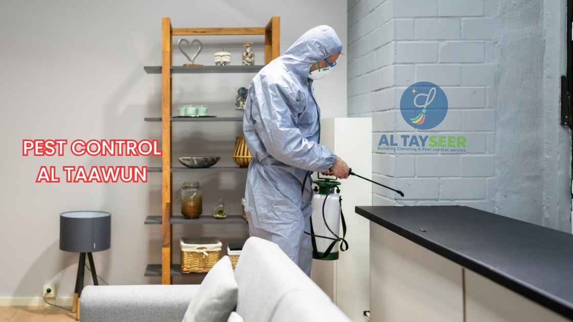 BestPest Control in Al Taawun, Sharjah
