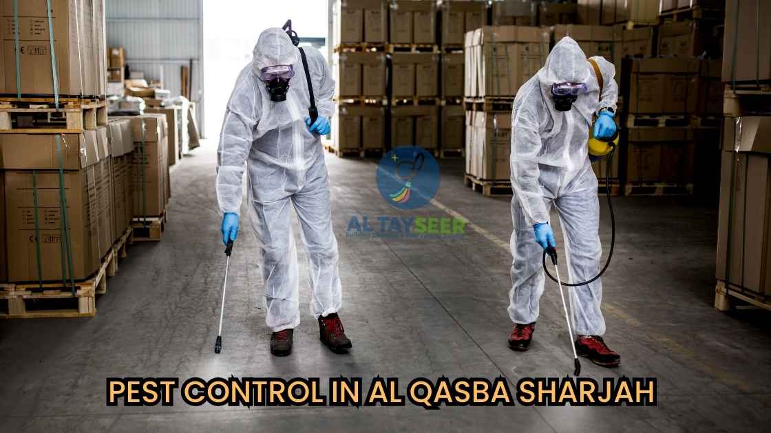 Pest Control in Al Qasba