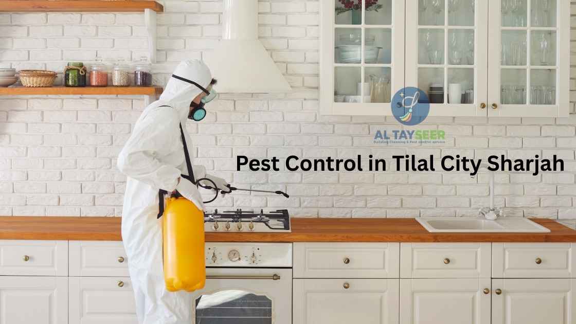 Trusted Pest Control in Tilal City