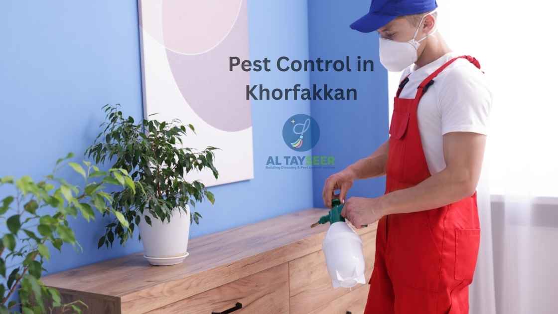Pest Control in Khorfakkan