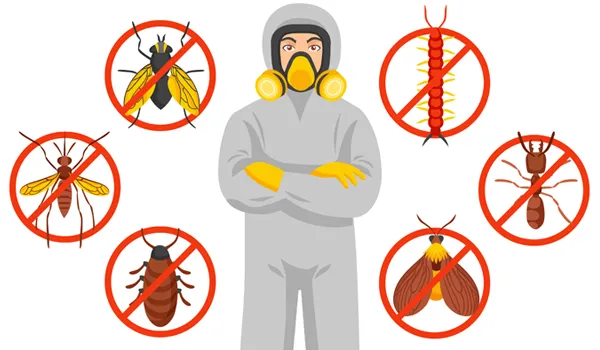 Dubai municipality public health and pest control section | Al Tayseer