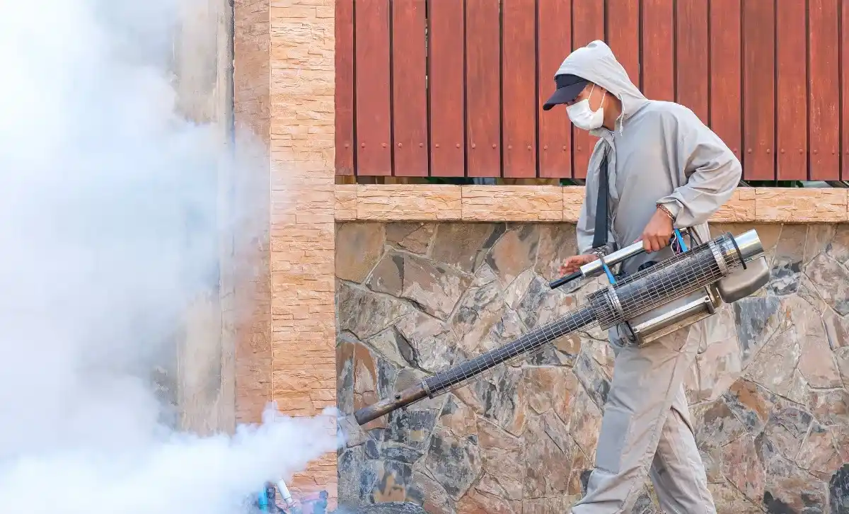 Why Mosquitoes Thrive in the UAE