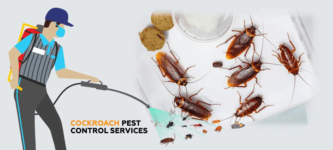 Cockroach Pest Control Sharjah